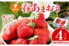 福岡県産 春あまおう 4パック 南国フルーツ株式会社《2月上旬-3月末頃出荷》福岡県 小竹町 あまおう いちご イチゴ 送料無料【配送不可地域あり】