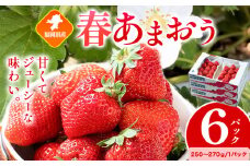 福岡県産 春あまおう 6パック 南国フルーツ株式会社《2月上旬-3月末頃出荷》福岡県 小竹町 あまおう いちご イチゴ 送料無料【配送不可地域あり】