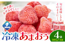 福岡県産 冷凍あまおう2kg(500g×4袋) 南国フルーツ株式会社《12月中旬-3月末頃出荷(土日祝除く)》福岡県 小竹町 あまおう いちご イチゴ 送料無料【配送不可地域あり】