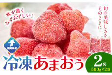 福岡県産 冷凍あまおう1kg(500g×2袋) 南国フルーツ株式会社《12月中旬-3月末頃出荷(土日祝除く)》福岡県 小竹町 あまおう いちご イチゴ 送料無料【配送不可地域あり】