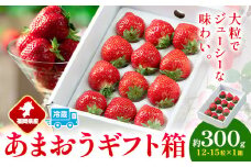 福岡県産 あまおう ギフト箱 約300g 南国フルーツ株式会社《12月上旬-3月末頃出荷》福岡県 小竹町 あまおう いちご イチゴ 送料無料【配送不可地域あり】