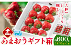 福岡県産 あまおう ギフト箱 約600g 南国フルーツ株式会社《12月上旬-3月末頃出荷》福岡県 小竹町 あまおう いちご イチゴ 送料無料【配送不可地域あり】