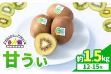 キウイ 甘うぃ 約1.5kg 南国フルーツ株式会社《10月中旬-11月末頃出荷》福岡県 小竹町 あまおう 福岡県産 キウイ フルーツ キウイフルーツ 果物
