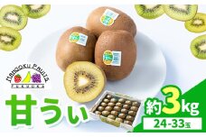 キウイ 甘うぃ 約3kg 南国フルーツ株式会社《10月中旬-11月末頃出荷》福岡県 小竹町 あまおう 福岡県産 キウイ フルーツ キウイフルーツ 果物
