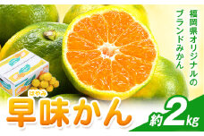 みかん 早味かん 約2kg 南国フルーツ株式会社《9月中旬-9月下旬頃出荷》福岡県 小竹町 福岡県産 みかん 早味かん フルーツ 果物