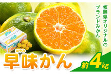 みかん 早味かん 約4kg 南国フルーツ株式会社《9月中旬-9月下旬頃出荷》福岡県 小竹町 福岡県産 みかん 早味かん フルーツ 果物