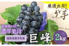 巨峰 2kg (約4～5房)《8月中旬-9月下旬頃出荷》ぶどう