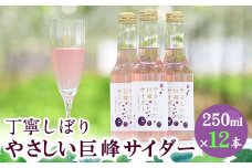 巨峰サイダー 250ml×12本《30日以内に出荷予定(土日祝除く)》ぶどう フルーツ サイダー 飲料