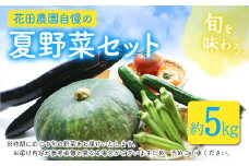 夏野菜セット 約5キロ 花田農園 令和5年《6月上旬-8月中旬頃出荷》トマト きゅうり オクラ かぼちゃ マクワ瓜 すいか ゴーヤ じゃがいも 玉ねぎ 鞍手郡