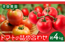 トマト2種の詰め合わせセット 約4kg 花田農園《6月上旬-7月末頃出荷(土日祝除く)》