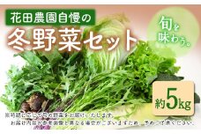 冬 野菜 セット 約5kg 花田農園《11月上旬から3月中旬頃出荷》白菜 大根 大葉 里芋 春菊 キャベツ 水菜 リーフレタス ブロッコリー ロマネスコ 鞍手郡