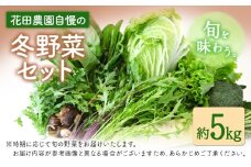 冬野菜セット 約5kg 花田農園《11月下旬-2月末頃出荷》白菜 大根 大葉春菊 里芋 キャベツ 水菜 リーフレタス ブロッコリー ロマネスコ 福岡県 鞍手郡 鞍手町
