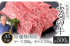 ふるの牛（黒毛和牛）特選焼肉用 500g (ロース250g、カルビ250g) A5 ミシュラン掲載《30日以内に出荷予定(土日祝除く)》