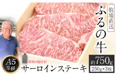 ふるの牛（黒毛和牛）特選サーロインステーキ 750g(250g×3枚) ゲランド塩付き A5《30日以内に出荷予定(土日祝除く)》
