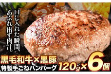 黒毛和牛×黒豚使用！九州うまれの特製手ごねハンバーグ 120g×6個 計720g《30日以内に出荷予定(土日祝除く)》生ハンバーグ 一つずつ個包装 MK エム・ケイ食品