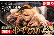 国産牛 牛すじ肉(ボイル済み) 1.2kg(300g×4袋) 《60日以内に出荷予定(土日祝除く)》