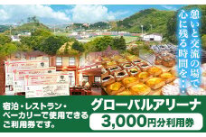 グローバルアリーナ 利用券 3000円分 株式会社グローバルアリーナ 《30日以内に出荷予定(土日祝除く)》GLOBAL ARENA 利用券 宿泊 スポーツ パン バイキング レストラン 食事 総合施設