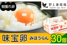 朝獲れ卵 味宝卵 (30個) 卵 Lサイズ 鶏卵《90日以内に出荷予定(土日祝除く)》