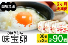 【定期便】計3回お届け 朝獲れ卵 味宝卵 (計90個) 30個×3回お届け 卵 Lサイズ 鶏卵 《お申込み月の翌月より出荷開始》 福岡 卵 Lサイズ 鶏卵