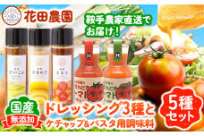 ドレッシング3種とケチャップ＆パスタ用調味料 5種セット 花田農園 《30日以内に出荷予定(土日祝除く)》ドレッシング だいこん 大根 たまねぎ 玉ねぎ とまと トマト 野菜 国産 無添加 ケチャップ パスタ用調味料