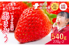 ★2026年出荷分★【先行予約】いちご あまおう 大容量産あまおう 540g 【着日指定不可】《2月中旬-4月末頃出荷》 いちご 