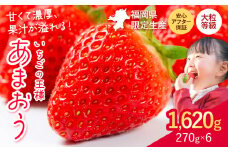 ★2026年出荷分★【先行予約】いちご あまおう 大容量産あまおう 1620g 【着日指定不可】《2月中旬-4月末頃出荷》 いちご