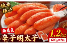 辛子明太子 国産 極み 無着色辛子明太子 1.2kg ( 600g × 2箱 ) 株式会社海千《90日以内に発送予定(土日祝除く)》福岡県 鞍手町 送料無料 明太子 めんたいこ ご飯のお供