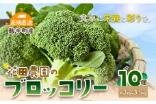 ブロッコリー 花田農園 の ブロッコリー 10個 花田農園 《11月下旬-3月末頃出荷》福岡県 鞍手町 ぶろっこりー 野菜 ブロッコリー 産地直送 送料無料