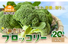 ブロッコリー 花田農園 の ブロッコリー 20個 花田農園 《11月下旬-3月末頃出荷》福岡県 鞍手町 ぶろっこりー 野菜 ブロッコリー 産地直送 送料無料