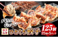 餃子 一口餃子 ひとくち 博多和牛 冷凍 25個 × 5パック 125個 清柳食産《30日以内に順次出荷(土日祝除く)》九州産 牛 肉 送料無料 冷凍 鞍手郡 鞍手町 牛肉 肉料理 和牛 博多和牛 揚げ餃子 水餃子