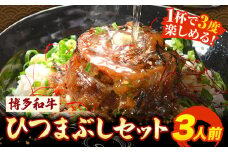 牛肉 博多和牛 ひつまぶし セット 3人前 清柳食産《30日以内に順次出荷(土日祝除く)》 国産 九州産 牛 肉 送料無料 冷凍 肉料理 和牛 博多和牛 惣菜 どんぶり 丼 福岡県 鞍手郡 鞍手町