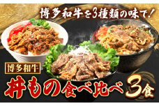博多和牛 牛丼 ハヤシ丼 カルビ丼 丼ものセット 各 200g x 1パック 600g 清柳食産《30日以内に順次出荷(土日祝除く)》肉 牛肉 和牛 丼 送料無料 鞍手郡 鞍手町 お弁当 おかず 小分け パック 冷凍