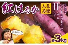厳選 紅はるか 3kg しょうた農園《12月上旬-3月末頃出荷》福岡県 鞍手町 紅はるか さつまいも 芋 いも イモ サツマイモ