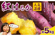 厳選 紅はるか 5kg しょうた農園《12月上旬-3月末頃出荷》福岡県 鞍手町 紅はるか さつまいも 芋 いも イモ サツマイモ