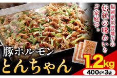 豚ホルモン とんちゃん 1.2kg 独楽 送料無料《30日以内に出荷予定(土日祝除く)》 福岡県 鞍手郡 鞍手町 豚 ホルモン