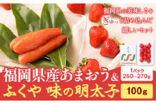 福岡県産あまおう & ふくや味の明太子 100g 南国フルーツ株式会社《12月上旬-3月末頃出荷》福岡県 鞍手町 あまおう いちご めんたいこ 明太子 セット 