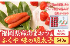 福岡県産あまおうギフト箱 & ふくや味の明太子 540g 南国フルーツ株式会社《12月上旬-3月末頃出荷》福岡県 鞍手町 あまおう いちご めんたいこ 明太子 セット 送料無料