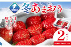 福岡県産 冬あまおう 2パック 南国フルーツ株式会社《12月上旬-1月末頃出荷》福岡県 鞍手町 あまおう いちご イチゴ 送料無料【配送不可地域あり】