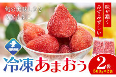 福岡県産 冷凍あまおう1kg(500g×2袋) 南国フルーツ株式会社《12月中旬-3月末頃出荷》福岡県 鞍手町 あまおう いちご イチゴ 送料無料【配送不可地域あり】