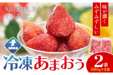 【2026年度出荷】福岡県産 冷凍あまおう1kg(500g×2袋) 南国フルーツ株式会社《12月中旬-3月末頃出荷》福岡県 鞍手町 あまおう いちご イチゴ 送料無料【配送不可地域あり】
