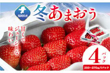 福岡県産 冬あまおう 4パック 南国フルーツ株式会社《12月上旬-1月末頃出荷》福岡県 鞍手町 あまおう いちご イチゴ 送料無料【配送不可地域あり】