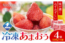 福岡県産 冷凍あまおう2kg(500g×4袋) 南国フルーツ株式会社《12月中旬-3月末頃出荷》福岡県 鞍手町 あまおう いちご イチゴ 送料無料【配送不可地域あり】