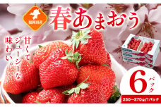 福岡県産 春あまおう 6パック 南国フルーツ株式会社《2月上旬-3月末頃出荷》福岡県 鞍手町 あまおう いちご イチゴ 送料無料【配送不可地域あり】