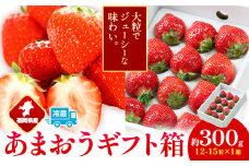 福岡県産 あまおう ギフト箱 約300g 南国フルーツ株式会社《12月上旬-3月末頃出荷》福岡県 鞍手町 あまおう いちご イチゴ 送料無料【配送不可地域あり】