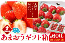 福岡県産 あまおう ギフト箱 約600g 南国フルーツ株式会社《12月上旬-3月末頃出荷》福岡県 鞍手町 あまおう いちご イチゴ 送料無料【配送不可地域あり】