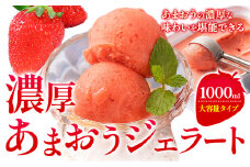 濃厚あまおうジェラート 1000ml 南国フルーツ株式会社《30日以内に出荷予定(土日祝除く)》福岡県 鞍手町 あまおう いちご ジェラート 果物 送料無料