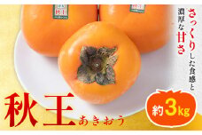 柿 秋王 約3kg（8-12玉） 南国フルーツ株式会社《10月中旬-11月末頃出荷》福岡県 鞍手町 福岡県産 柿 フルーツ 果物