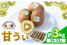 キウイ 甘うぃ 約3kg 南国フルーツ株式会社《10月中旬-11月末頃出荷》福岡県 鞍手町 福岡県産 キウイ フルーツ キウイフルーツ 果物