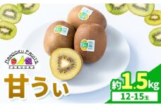 キウイ 甘うぃ 約1.5kg 南国フルーツ株式会社《10月中旬-11月末頃出荷》福岡県 鞍手町 福岡県産 キウイ フルーツ キウイフルーツ 果物