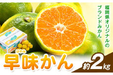 みかん 早味かん 約2kg  南国フルーツ株式会社《9月中旬-9月下旬頃出荷》福岡県 鞍手町 福岡県産 みかん 早味かん フルーツ 果物